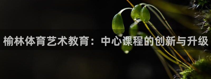 哈哈体育十年：榆林体育艺术教育：中心课程的创新与升级