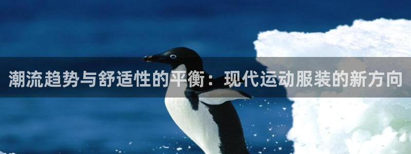 哈哈体育十年：潮流趋势与舒适性的平衡：现代运动服装的新方向
