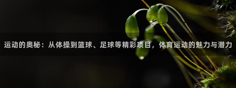 哈哈体育十年：运动的奥秘：从体操到篮球、足球等精彩项目，体育运动的魅力与潜力