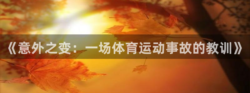 哈哈体育十年：《意外之变：一场体育运动事故的教训》