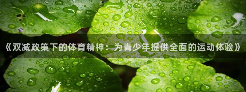 哈哈体育十年：《双减政策下的体育精神：为青少年提供全面的运动体验》