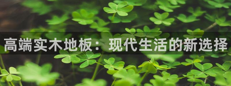 哈哈体育十年：高端实木地板：现代生活的新选择